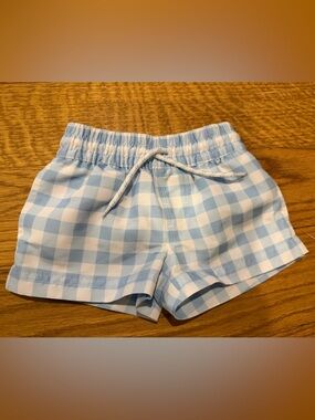 TBBC Blue Gingham Tortola Swim Trunks